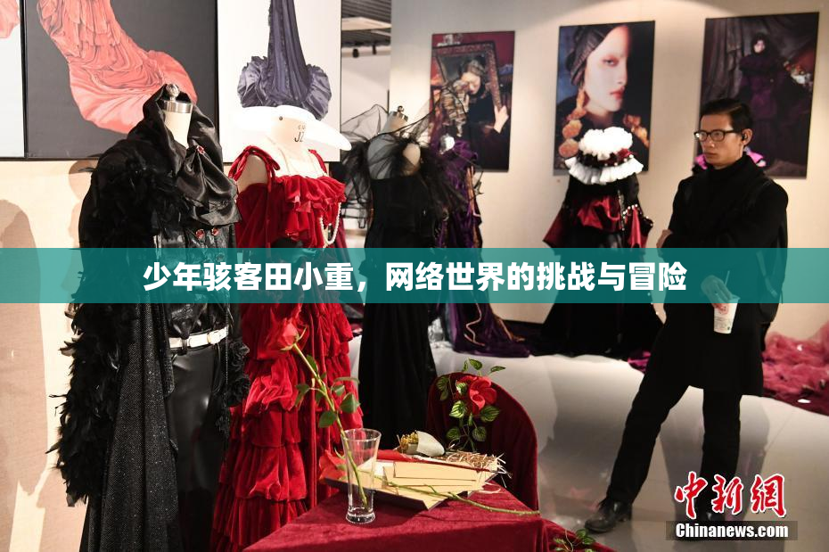 少年骇客田小重，网络世界的挑战与冒险