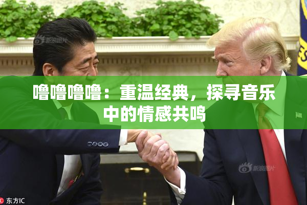 噜噜噜噜：重温经典，探寻音乐中的情感共鸣