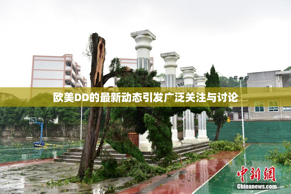 欧美DD的最新动态引发广泛关注与讨论