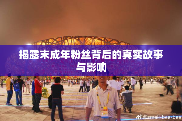 揭露末成年粉丝背后的真实故事与影响
