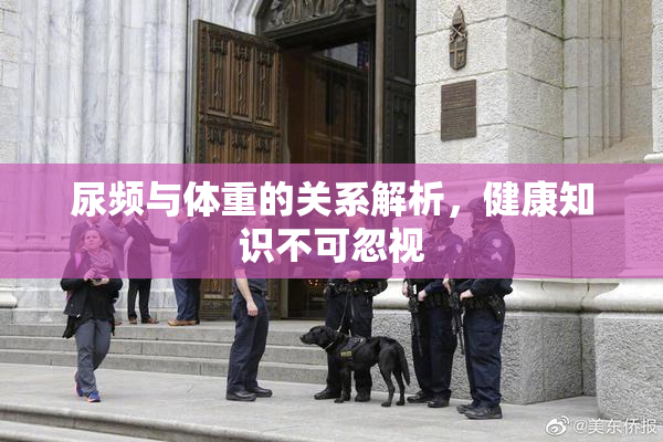 尿频与体重的关系解析，健康知识不可忽视
