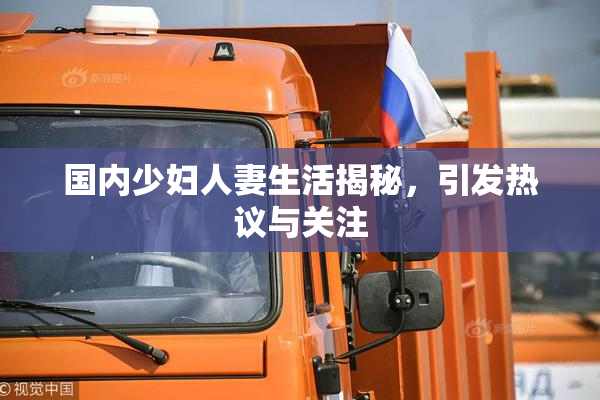 国内少妇人妻生活揭秘，引发热议与关注
