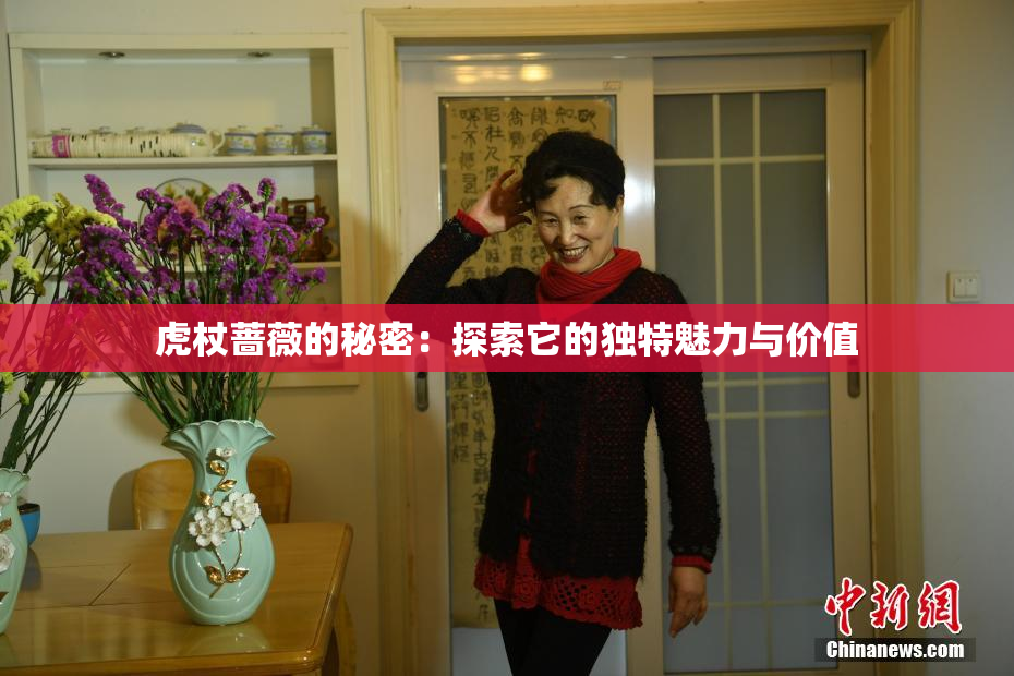 虎杖蔷薇的秘密：探索它的独特魅力与价值