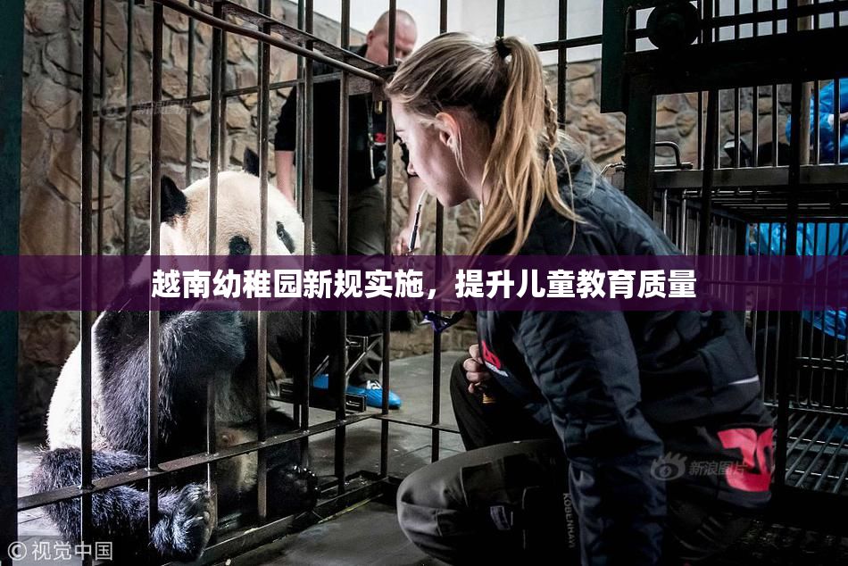 越南幼稚园新规实施，提升儿童教育质量