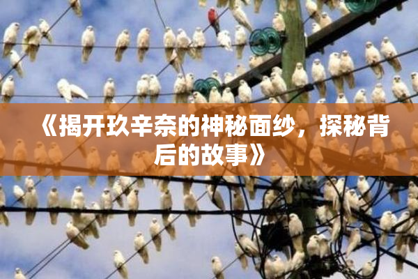 《揭开玖辛奈的神秘面纱，探秘背后的故事》