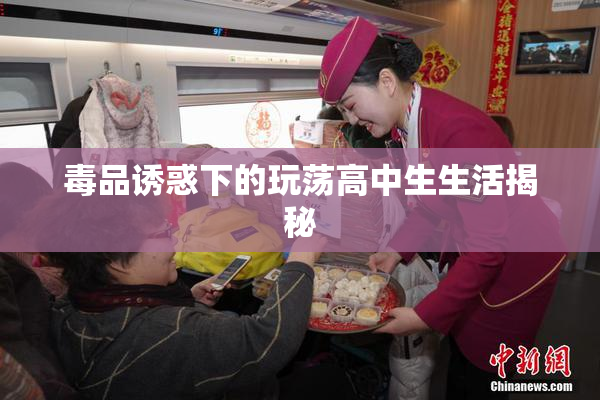 毒品诱惑下的玩荡高中生生活揭秘