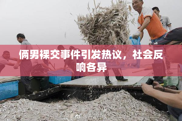 俩男裸交事件引发热议，社会反响各异