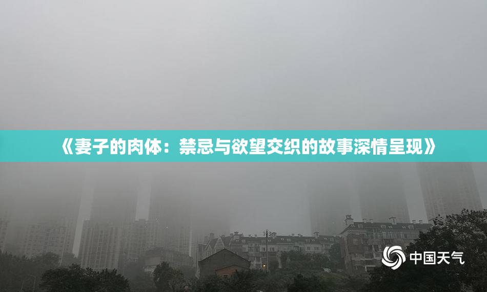 《妻子的肉体：禁忌与欲望交织的故事深情呈现》