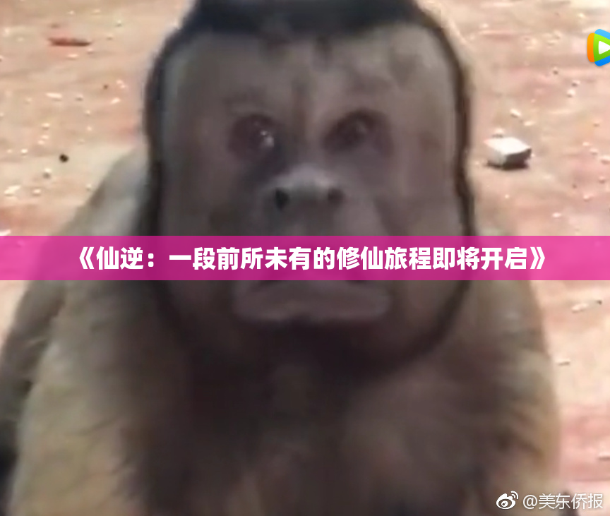 《仙逆：一段前所未有的修仙旅程即将开启》