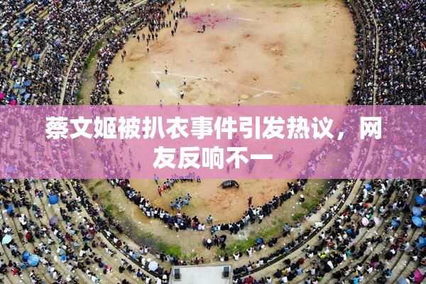 蔡文姬被扒衣事件引发热议，网友反响不一