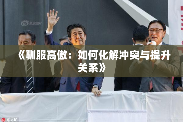 《驯服高傲：如何化解冲突与提升关系》