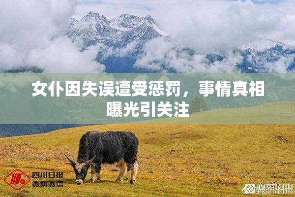 女仆因失误遭受惩罚，事情真相曝光引关注