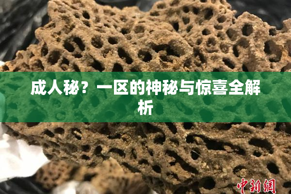 成人秘？一区的神秘与惊喜全解析