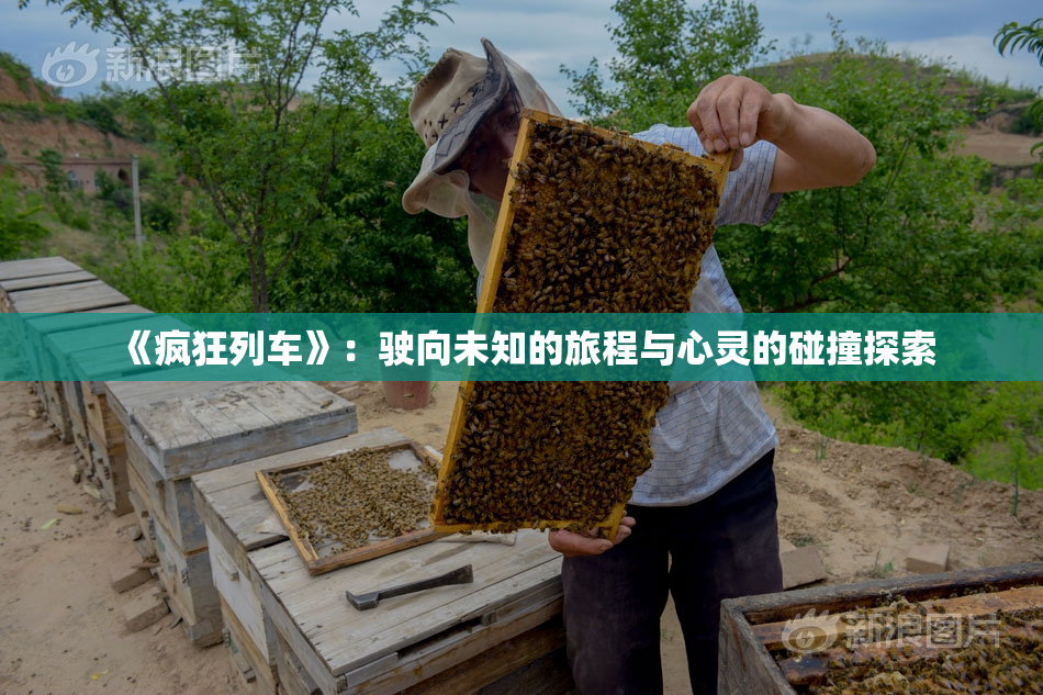 《疯狂列车》：驶向未知的旅程与心灵的碰撞探索