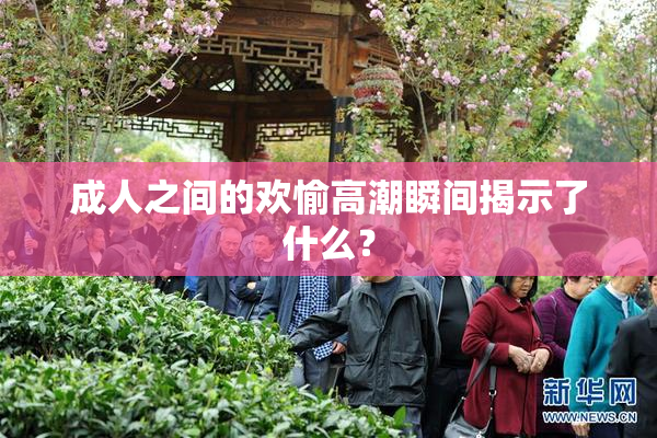 成人之间的欢愉高潮瞬间揭示了什么？