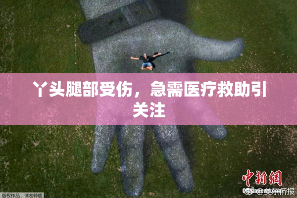 丫头腿部受伤，急需医疗救助引关注