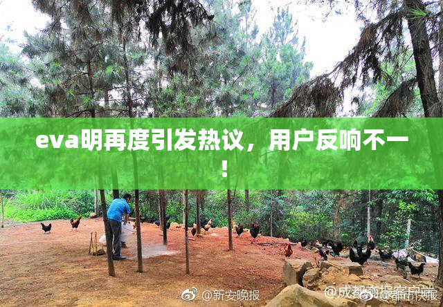 eva明再度引发热议，用户反响不一！