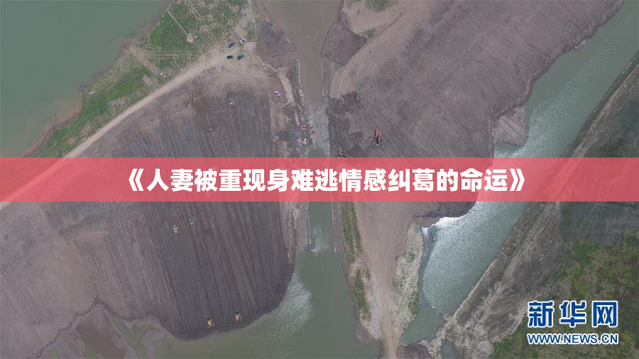 《人妻被重现身难逃情感纠葛的命运》