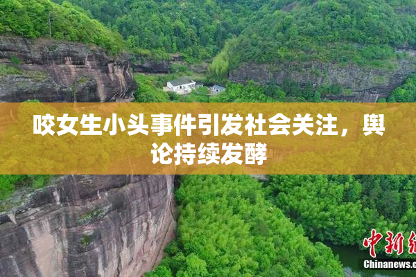 咬女生小头事件引发社会关注，舆论持续发酵