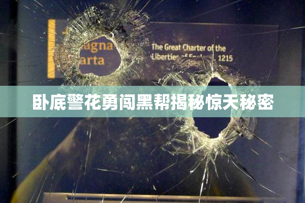 卧底警花勇闯黑帮揭秘惊天秘密