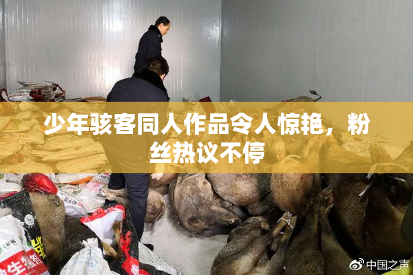 少年骇客同人作品令人惊艳，粉丝热议不停