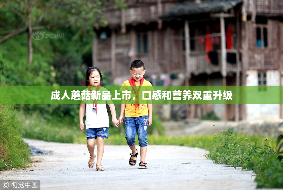 成人蘑菇新品上市，口感和营养双重升级