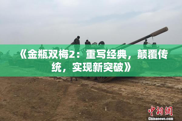 《金瓶双梅2：重写经典，颠覆传统，实现新突破》