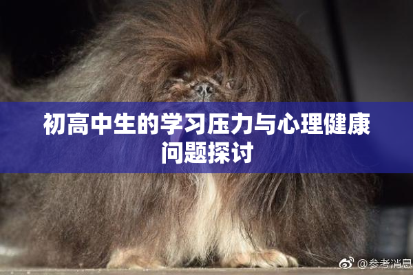 初高中生的学习压力与心理健康问题探讨