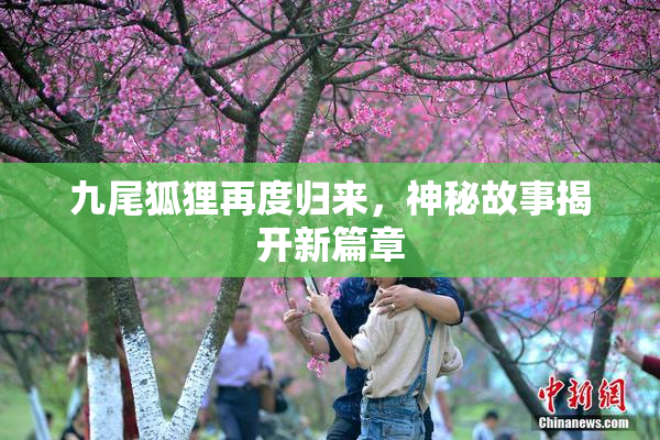九尾狐狸再度归来，神秘故事揭开新篇章