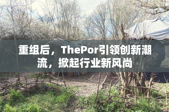 重组后，ThePor引领创新潮流，掀起行业新风尚