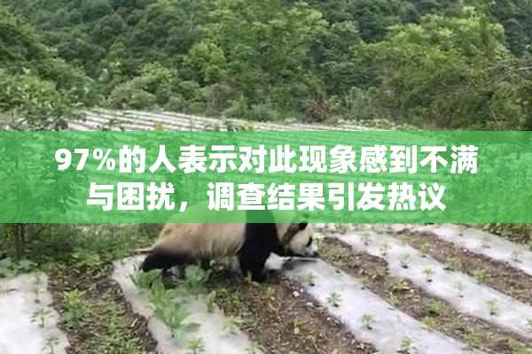 97%的人表示对此现象感到不满与困扰，调查结果引发热议