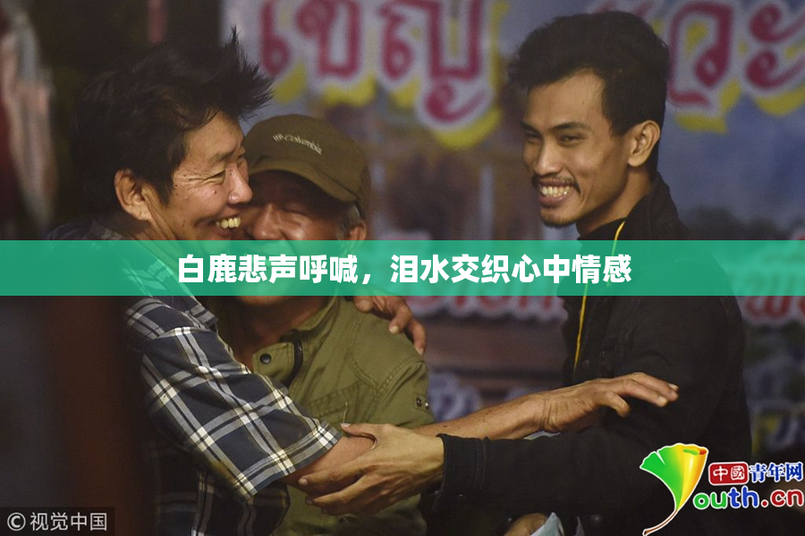 白鹿悲声呼喊，泪水交织心中情感