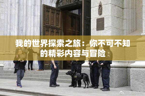 我的世界探索之旅：你不可不知的精彩内容与冒险