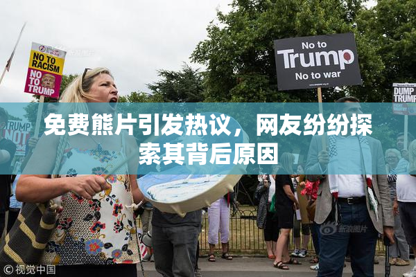 免费熊片引发热议，网友纷纷探索其背后原因