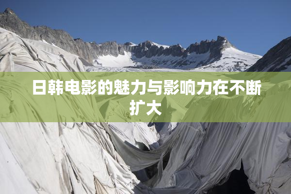 日韩电影的魅力与影响力在不断扩大