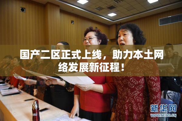 国产二区正式上线，助力本土网络发展新征程！