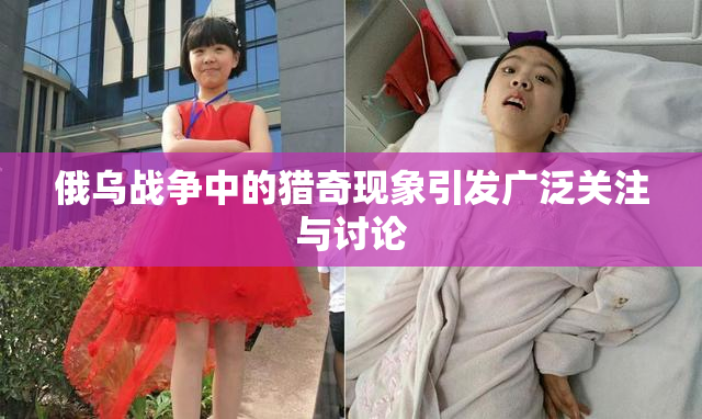 俄乌战争中的猎奇现象引发广泛关注与讨论