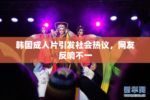 韩国成人片引发社会热议，网友反响不一