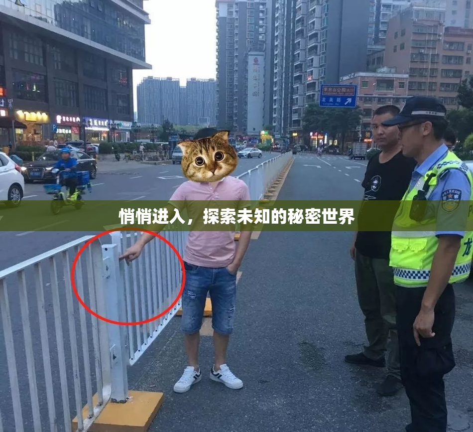 悄悄进入，探索未知的秘密世界