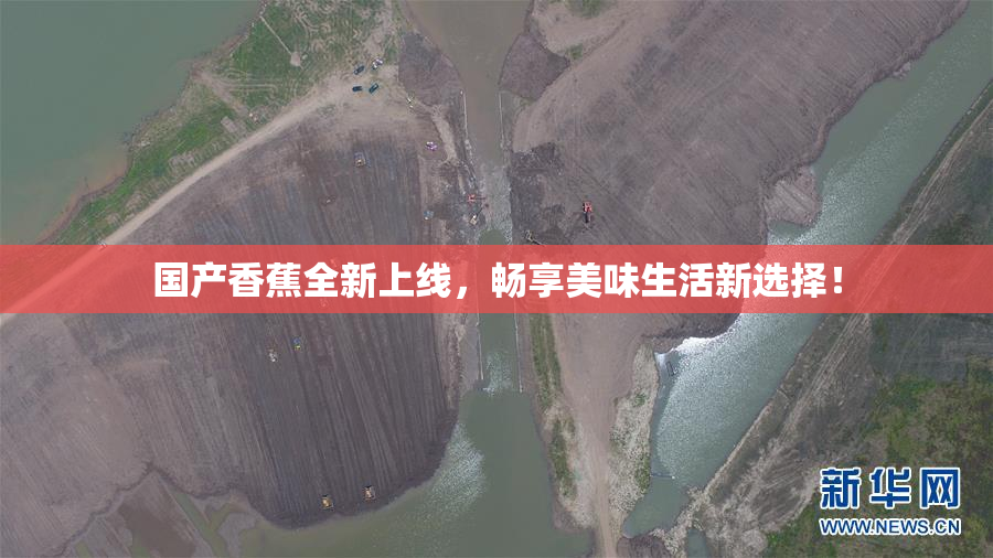 国产香蕉全新上线，畅享美味生活新选择！