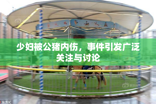 少妇被公猪内伤，事件引发广泛关注与讨论
