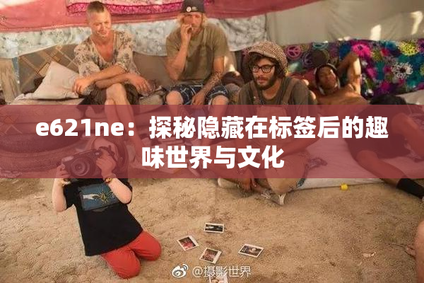 e621ne：探秘隐藏在标签后的趣味世界与文化