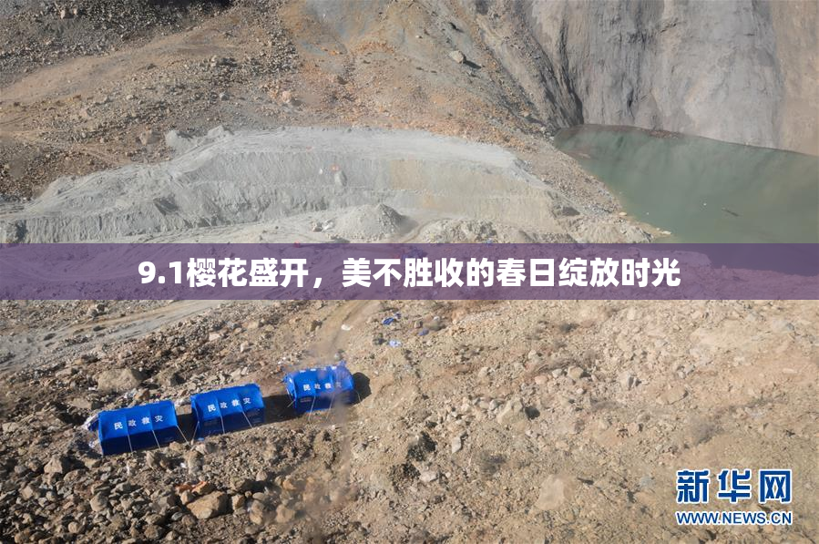 9.1樱花盛开，美不胜收的春日绽放时光