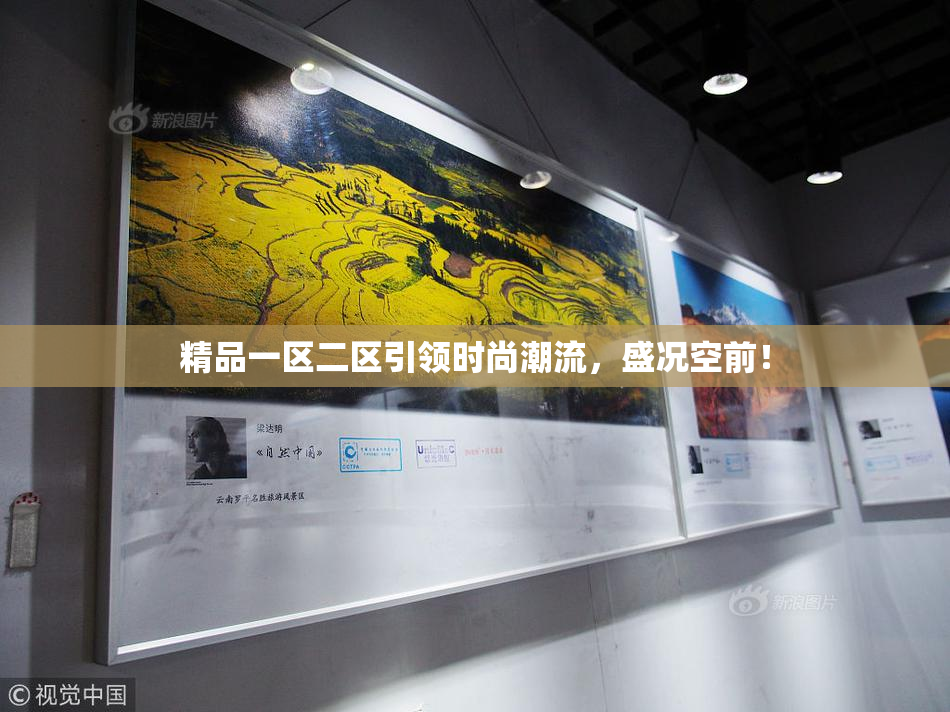 精品一区二区引领时尚潮流，盛况空前！