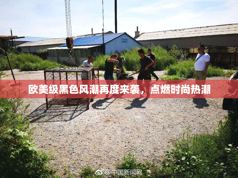 欧美级黑色风潮再度来袭，点燃时尚热潮