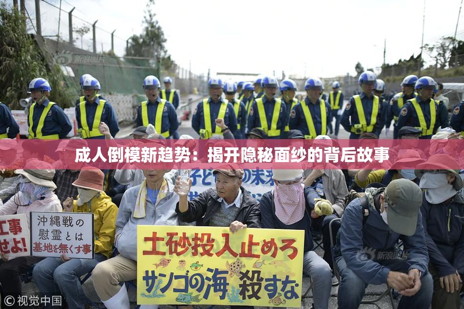 成人倒模新趋势：揭开隐秘面纱的背后故事