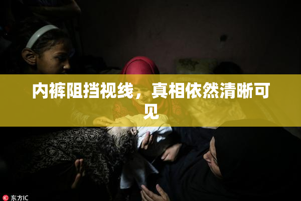 内裤阻挡视线，真相依然清晰可见