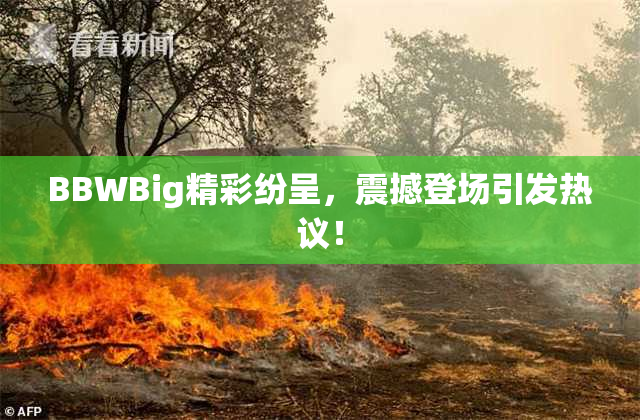 BBWBig精彩纷呈，震撼登场引发热议！