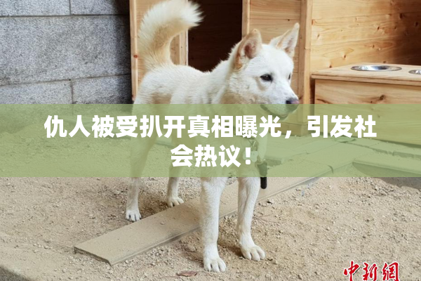仇人被受扒开真相曝光，引发社会热议！
