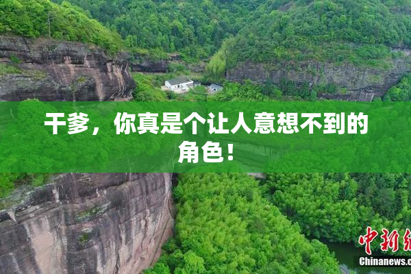 干爹，你真是个让人意想不到的角色！